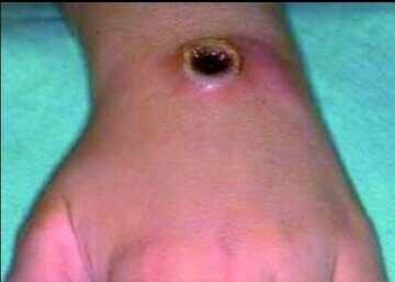 Скриншот 25-07-2025 143938